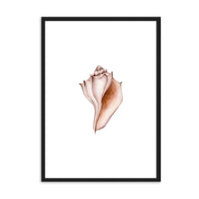 Load image into Gallery viewer, Seashell Neutral Tones | Wall Art