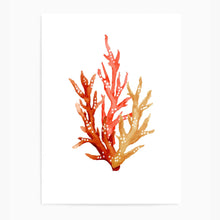 Load image into Gallery viewer, Coral Orange Tones | Wall Art