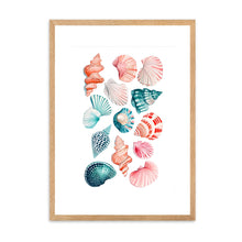 Load image into Gallery viewer, Shells Colourful II | Wall Art