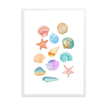 Load image into Gallery viewer, Seashells Colourful | Wall Art