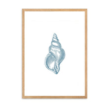 Load image into Gallery viewer, Seashell Blue I | Wall Art