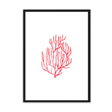 Load image into Gallery viewer, Coral Red | Wall Art