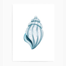 Load image into Gallery viewer, Seashell Cool Tones | Wall Art