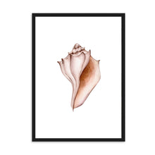 Load image into Gallery viewer, Seashell Neutral Tones | Wall Art