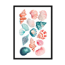 Load image into Gallery viewer, Shells Colourful II | Wall Art