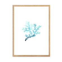 Load image into Gallery viewer, Coral Blue | Wall Art