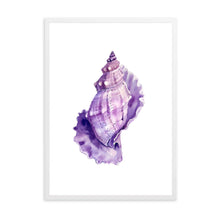 Load image into Gallery viewer, Seashell Pink Tones | Wall Art