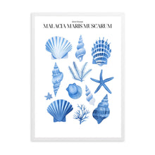 Load image into Gallery viewer, Shells Blue II | Wall Art