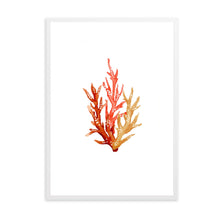 Load image into Gallery viewer, Coral Orange Tones | Wall Art