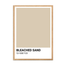 Load image into Gallery viewer, Beached Sand Beige Colour Swatch | Wall Art