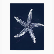 Load image into Gallery viewer, Starfish Ocean Blue II | Wall Art