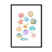 Load image into Gallery viewer, Seashells Colourful | Wall Art