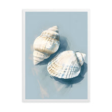Load image into Gallery viewer, Shells III | Wall Art