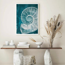 Load image into Gallery viewer, Big Shell | Wall Art