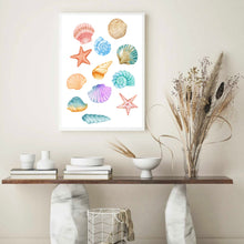 Load image into Gallery viewer, Seashells Colourful | Wall Art