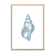 Load image into Gallery viewer, Seashell Blue I | Wall Art