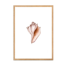 Load image into Gallery viewer, Seashell Neutral Tones | Wall Art