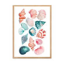 Load image into Gallery viewer, Shells Colourful II | Wall Art