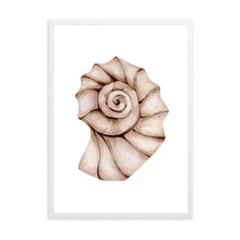 Load image into Gallery viewer, Seashell Neutral Tones II | Wall Art