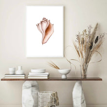 Load image into Gallery viewer, Seashell Neutral Tones | Wall Art