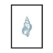 Load image into Gallery viewer, Seashell Blue I | Wall Art