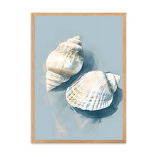 Load image into Gallery viewer, Shells III | Wall Art