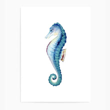 Load image into Gallery viewer, Seahorse Blue II | Wall Art