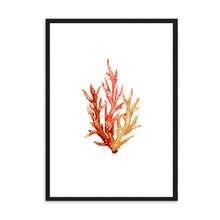 Load image into Gallery viewer, Coral Orange Tones | Wall Art