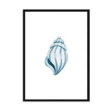 Load image into Gallery viewer, Seashell Cool Tones | Wall Art