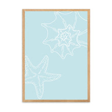 Load image into Gallery viewer, Shell Line Art I | Wall Art