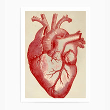 Load image into Gallery viewer, Heart | Wall Art Print