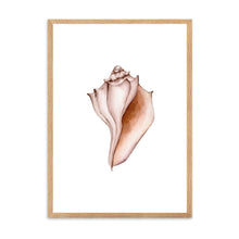 Load image into Gallery viewer, Seashell Neutral Tones | Wall Art