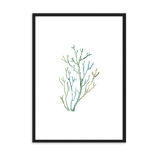 Load image into Gallery viewer, Coral Cool Tones II | Wall Art