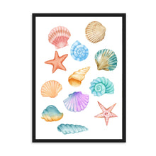 Load image into Gallery viewer, Seashells Colourful | Wall Art