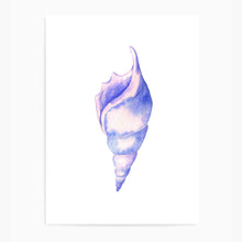 Load image into Gallery viewer, Seashell Pink Tones II | Wall Art