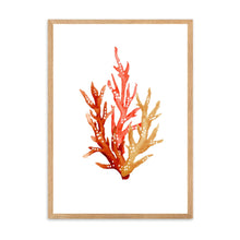 Load image into Gallery viewer, Coral Orange Tones | Wall Art