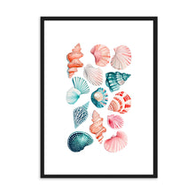 Load image into Gallery viewer, Shells Colourful II | Wall Art