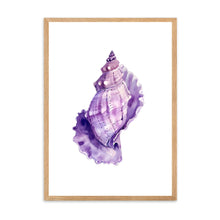 Load image into Gallery viewer, Seashell Pink Tones | Wall Art