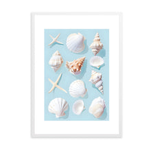 Load image into Gallery viewer, Seashells Blue | Wall Art