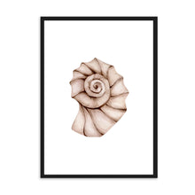 Load image into Gallery viewer, Seashell Neutral Tones II | Wall Art