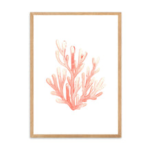 Load image into Gallery viewer, Coral Orange | Wall Art