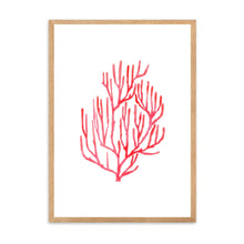 Load image into Gallery viewer, Coral Red | Wall Art