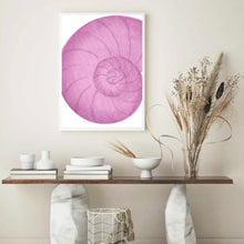 Load image into Gallery viewer, Seashell Pink I | Wall Art