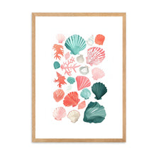 Load image into Gallery viewer, Shells I | Wall Art