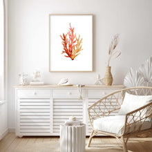 Load image into Gallery viewer, Coral Orange Tones | Wall Art