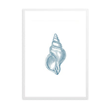 Load image into Gallery viewer, Seashell Blue I | Wall Art