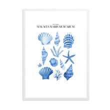 Load image into Gallery viewer, Shells Blue II | Wall Art