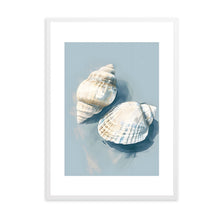 Load image into Gallery viewer, Shells III | Wall Art