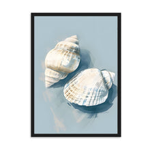 Load image into Gallery viewer, Shells III | Wall Art