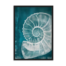 Load image into Gallery viewer, Big Shell | Wall Art